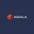 Логотип для Aquila - дизайнер zozuca-a