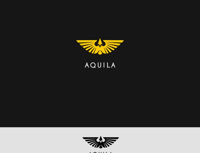Логотип для Aquila - дизайнер natalia22
