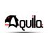 Логотип для Aquila - дизайнер camicoros