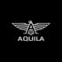 Логотип для Aquila - дизайнер shamaevserg
