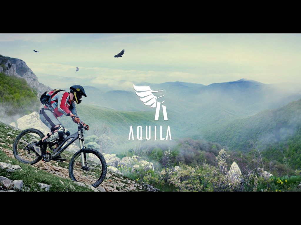 Логотип для Aquila - дизайнер kos888