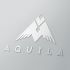 Логотип для Aquila - дизайнер SANITARLESA
