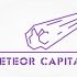 Логотип для Meteor Capital - дизайнер YULBAN