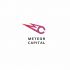 Логотип для Meteor Capital - дизайнер designer79