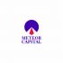 Логотип для Meteor Capital - дизайнер Sockrain