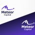 Логотип для Meteor Capital - дизайнер NukeD