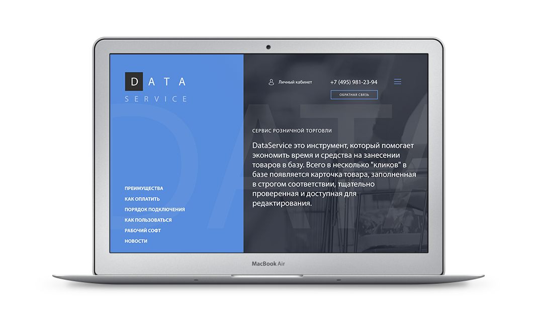 Веб-сайт для dataserv24.ru - дизайнер Psynovel