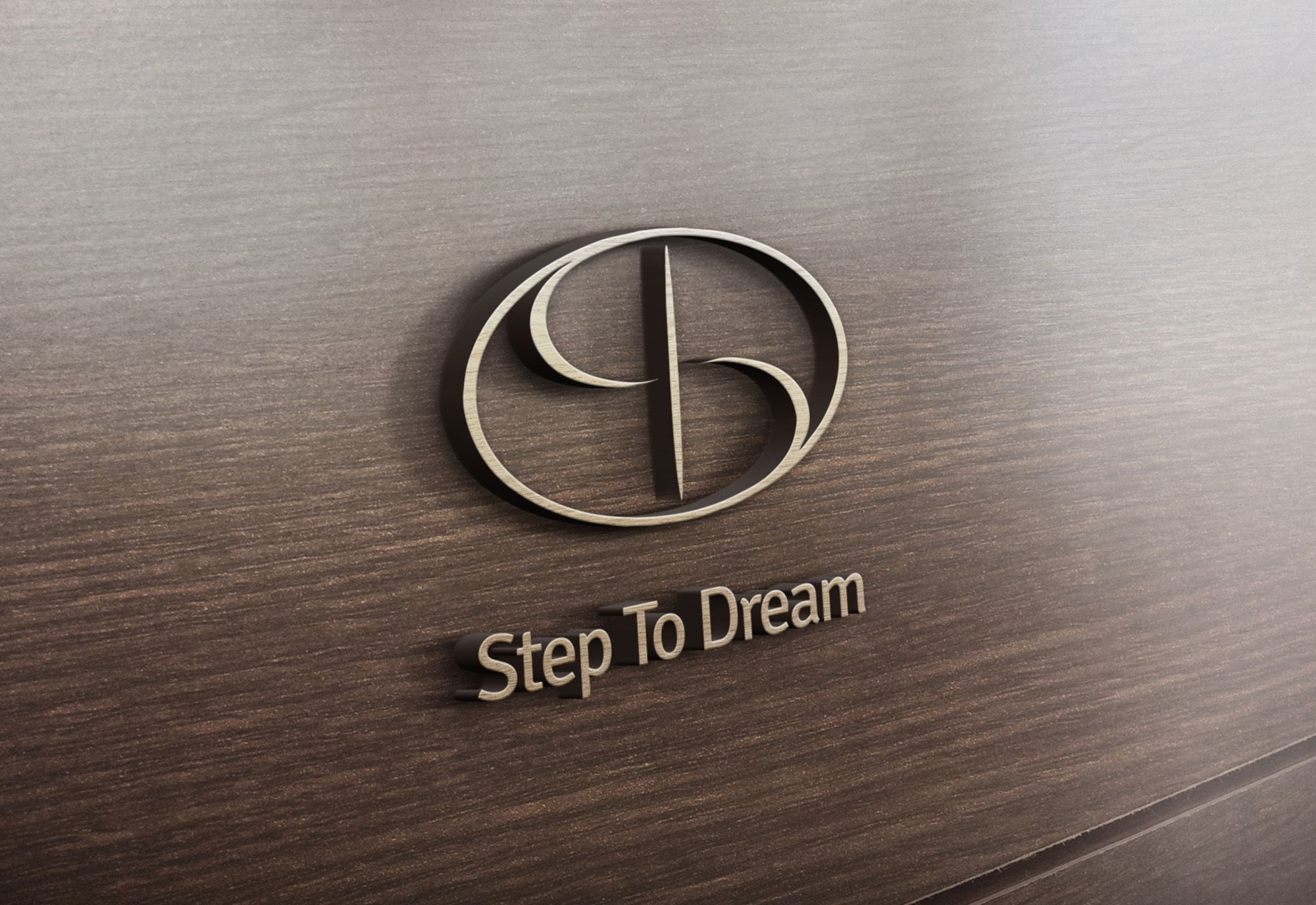 Логотип для StepToDream - дизайнер seanmik
