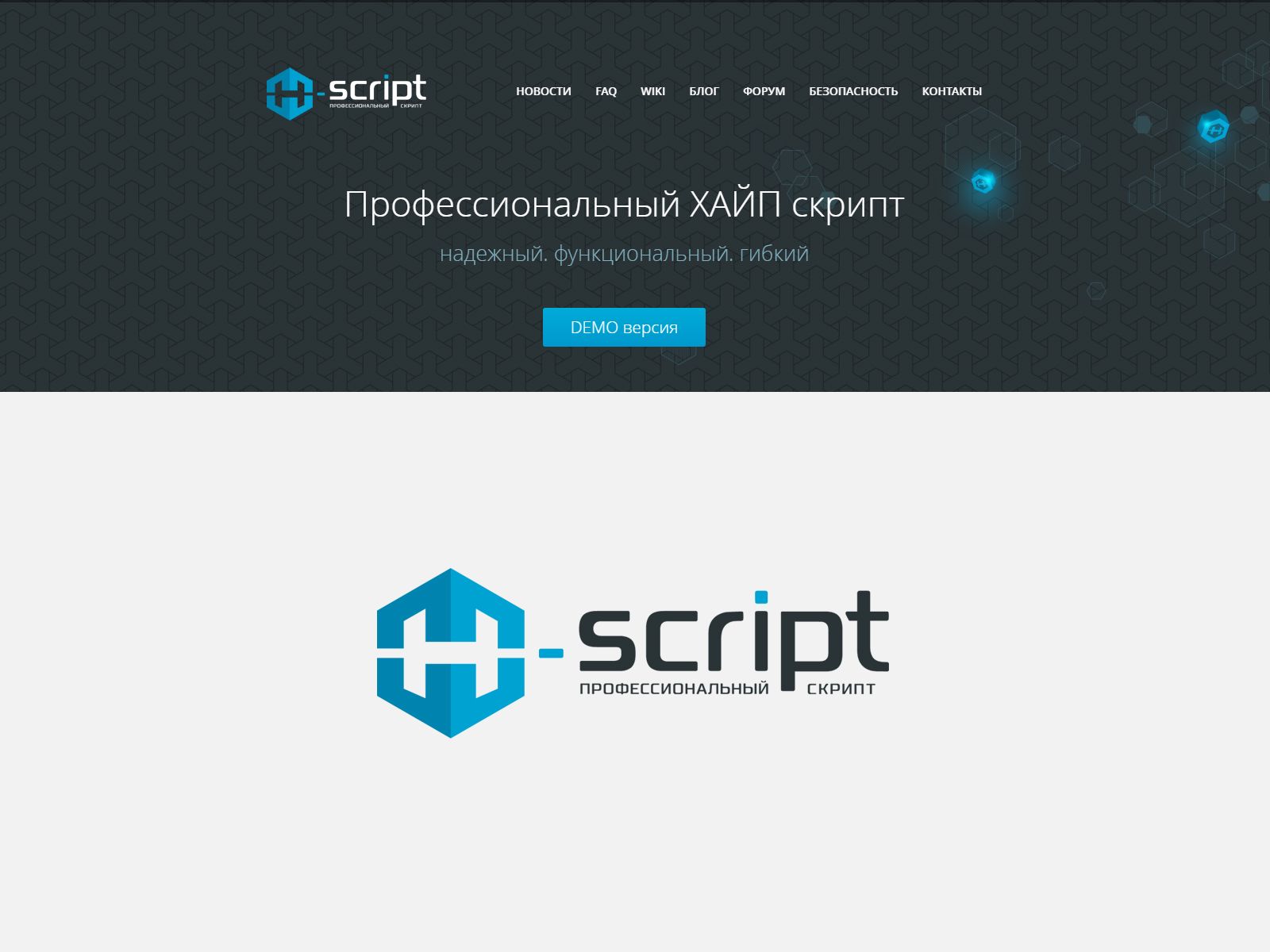 Логотип для h-script - дизайнер webgrafika