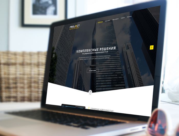 Веб-сайт для сайт бизнес-платформы - дизайнер Ninpo