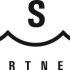 Лого и фирменный стиль для BSR Partners - дизайнер arank