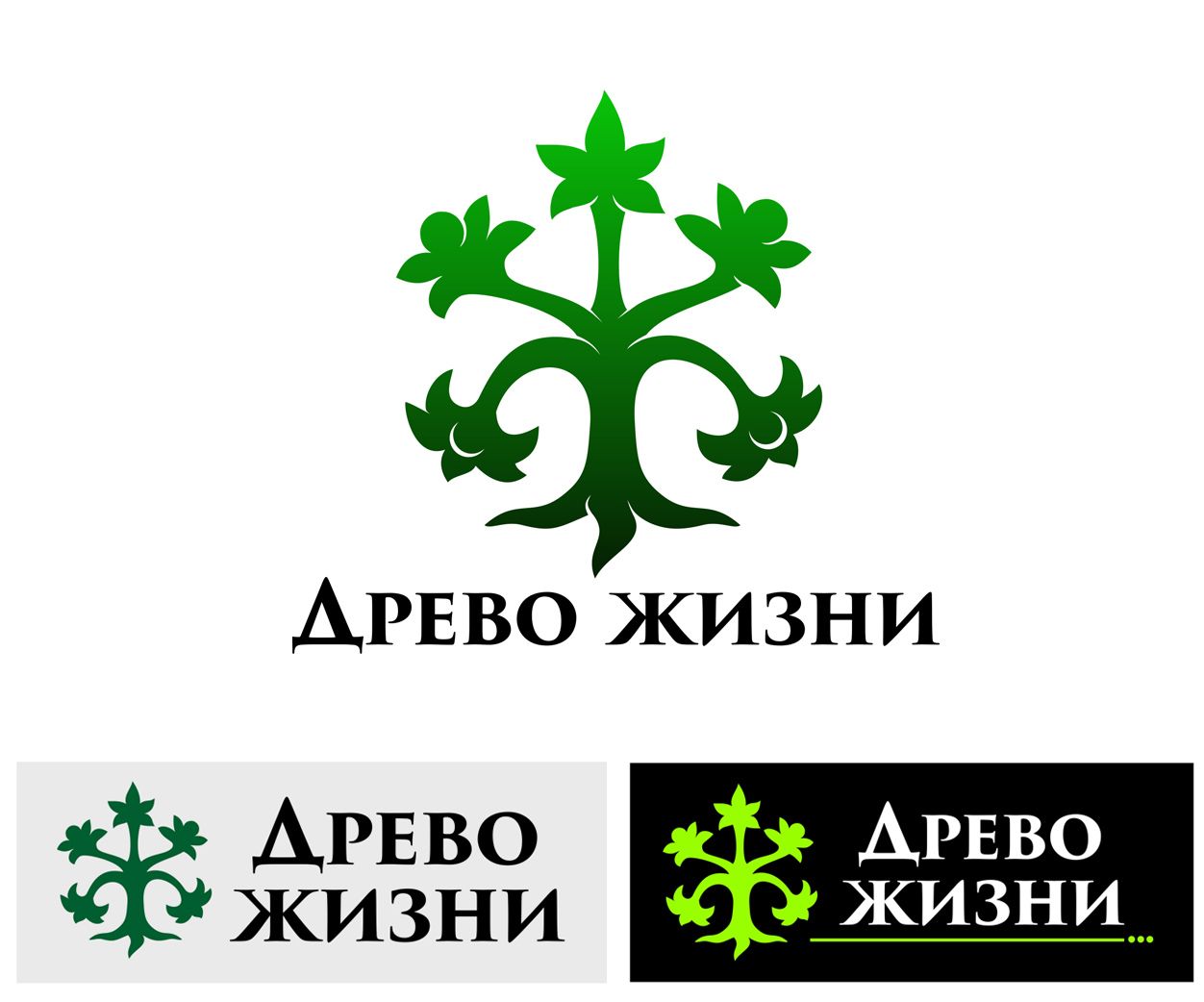 Логотип для Древо жизни - дизайнер Builov-24