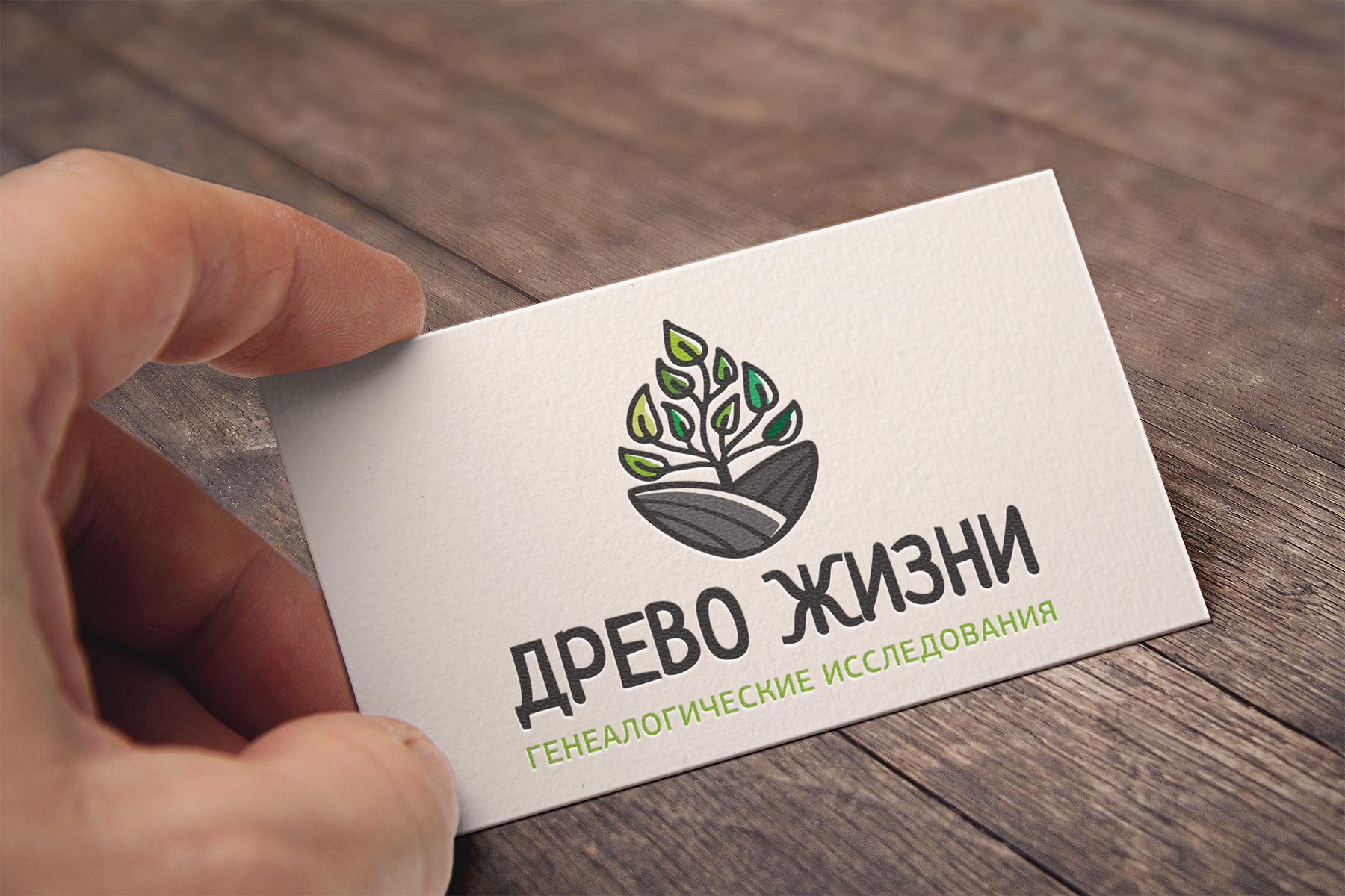 Логотип для Древо жизни - дизайнер Da4erry