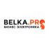 Логотип для BELKA.PRO Бизнес Электроника - дизайнер fresh