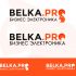 Логотип для BELKA.PRO Бизнес Электроника - дизайнер fresh
