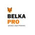 Логотип для BELKA.PRO Бизнес Электроника - дизайнер YanHorop