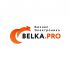 Логотип для BELKA.PRO Бизнес Электроника - дизайнер AlenaSmol