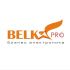 Логотип для BELKA.PRO Бизнес Электроника - дизайнер pilotdsn