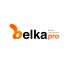Логотип для BELKA.PRO Бизнес Электроника - дизайнер RosaDeMone