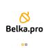 Логотип для BELKA.PRO Бизнес Электроника - дизайнер Jexx07