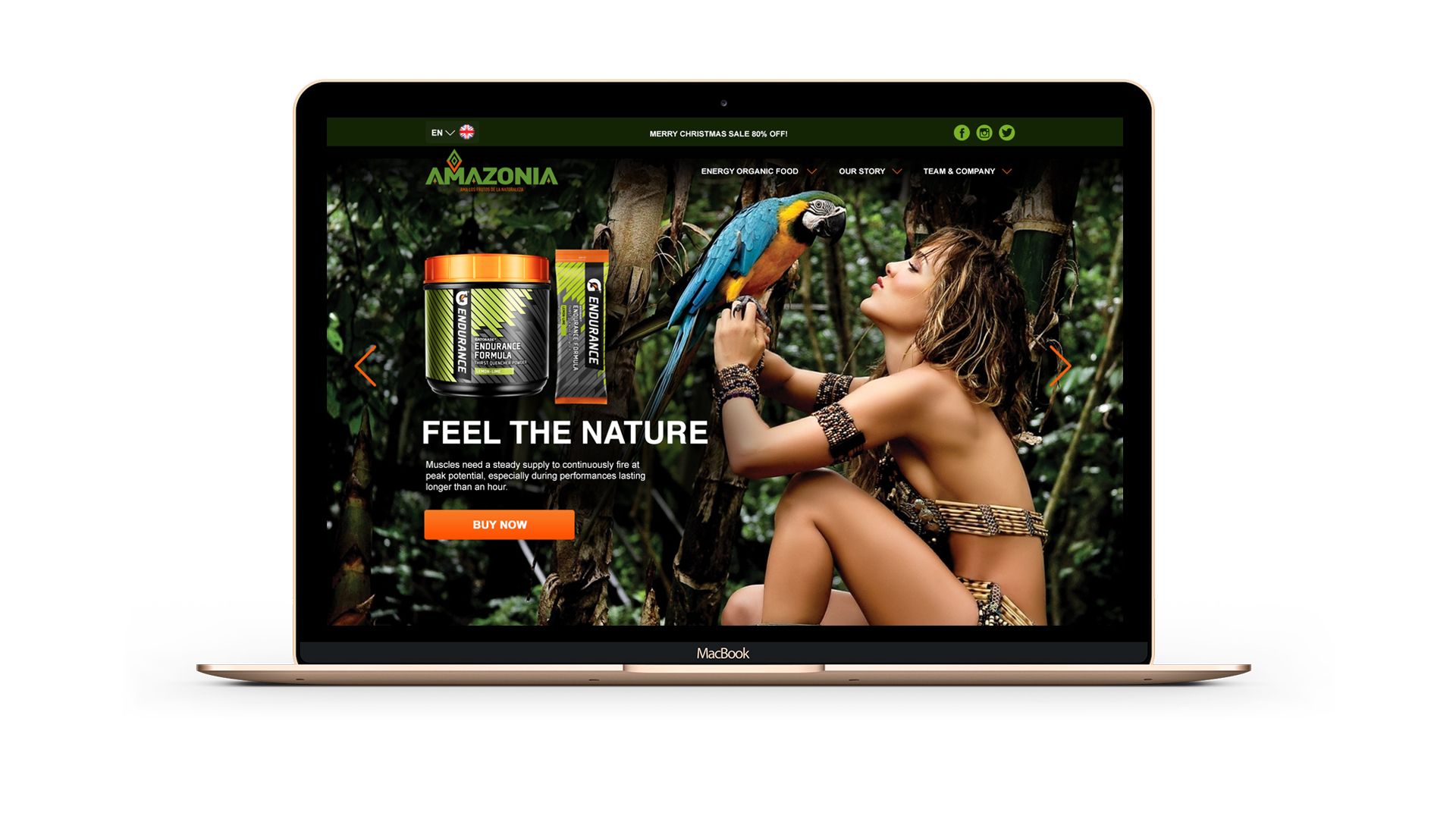 Веб-сайт для Amazoniafood | ООО «Амазония фуд» - дизайнер caffein
