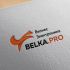 Логотип для BELKA.PRO Бизнес Электроника - дизайнер katans