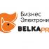 Логотип для BELKA.PRO Бизнес Электроника - дизайнер IGOR