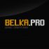 Логотип для BELKA.PRO Бизнес Электроника - дизайнер OzzzzyK