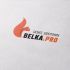 Логотип для BELKA.PRO Бизнес Электроника - дизайнер true_designer