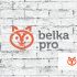 Логотип для BELKA.PRO Бизнес Электроника - дизайнер GreenRed