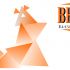 Логотип для BELKA.PRO Бизнес Электроника - дизайнер RuZ