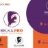Логотип для BELKA.PRO Бизнес Электроника - дизайнер shagi66