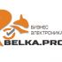 Логотип для BELKA.PRO Бизнес Электроника - дизайнер Olechka82_82