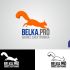 Логотип для BELKA.PRO Бизнес Электроника - дизайнер Jino158
