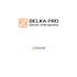 Логотип для BELKA.PRO Бизнес Электроника - дизайнер DIZIBIZI