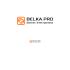 Логотип для BELKA.PRO Бизнес Электроника - дизайнер DIZIBIZI