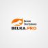 Логотип для BELKA.PRO Бизнес Электроника - дизайнер Lara2009