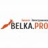 Логотип для BELKA.PRO Бизнес Электроника - дизайнер alexsem001