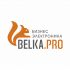 Логотип для BELKA.PRO Бизнес Электроника - дизайнер rowan