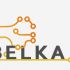 Логотип для BELKA.PRO Бизнес Электроника - дизайнер PMJul