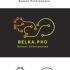 Логотип для BELKA.PRO Бизнес Электроника - дизайнер PMJul