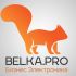 Логотип для BELKA.PRO Бизнес Электроника - дизайнер mt_studio