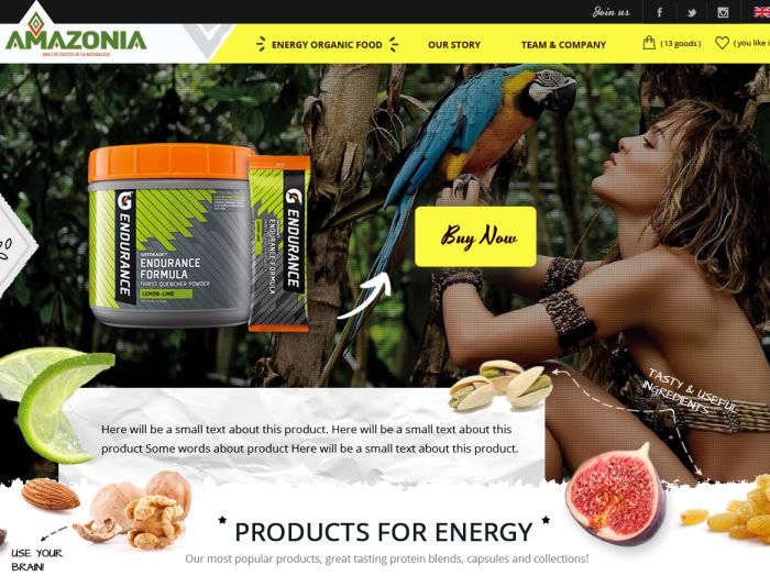 Веб-сайт для Amazoniafood | ООО «Амазония фуд» - дизайнер Lalley