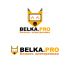 Логотип для BELKA.PRO Бизнес Электроника - дизайнер el_man_ya_china