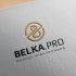 Логотип для BELKA.PRO Бизнес Электроника - дизайнер zozuca-a