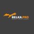 Логотип для BELKA.PRO Бизнес Электроника - дизайнер TimTadd