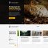 Веб-сайт для  Сайт Центра восстановления леопарда на Кавказе - дизайнер hs3618