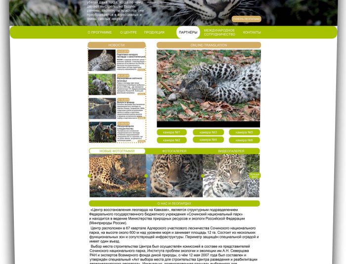 Веб-сайт для  Сайт Центра восстановления леопарда на Кавказе - дизайнер EkaShk