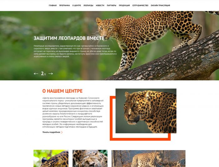 Веб-сайт для  Сайт Центра восстановления леопарда на Кавказе - дизайнер TobiX