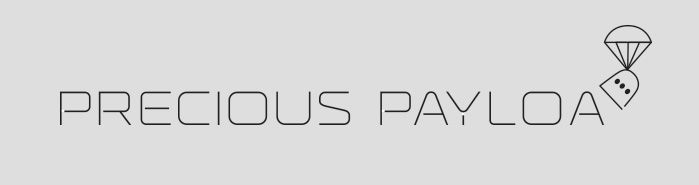 Логотип для Precious Payload  - дизайнер letupanlandak